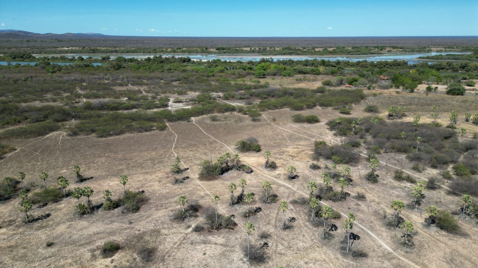 Fazenda de 1.020 ha em Barra, BA