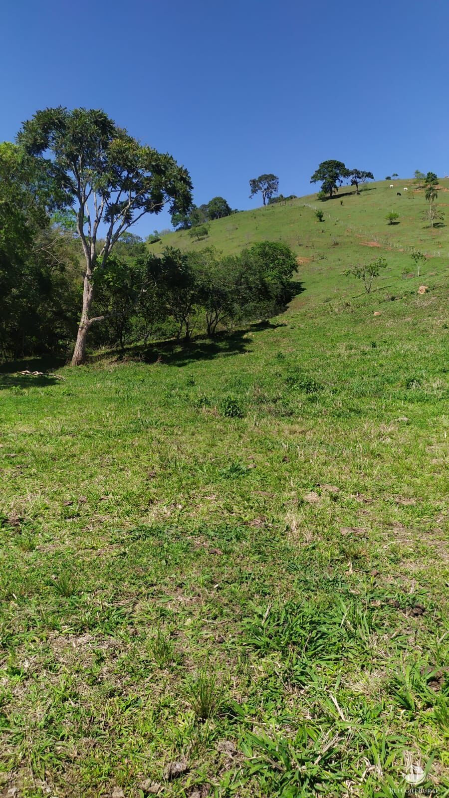 Terreno de 16 ha em Paraisópolis, MG