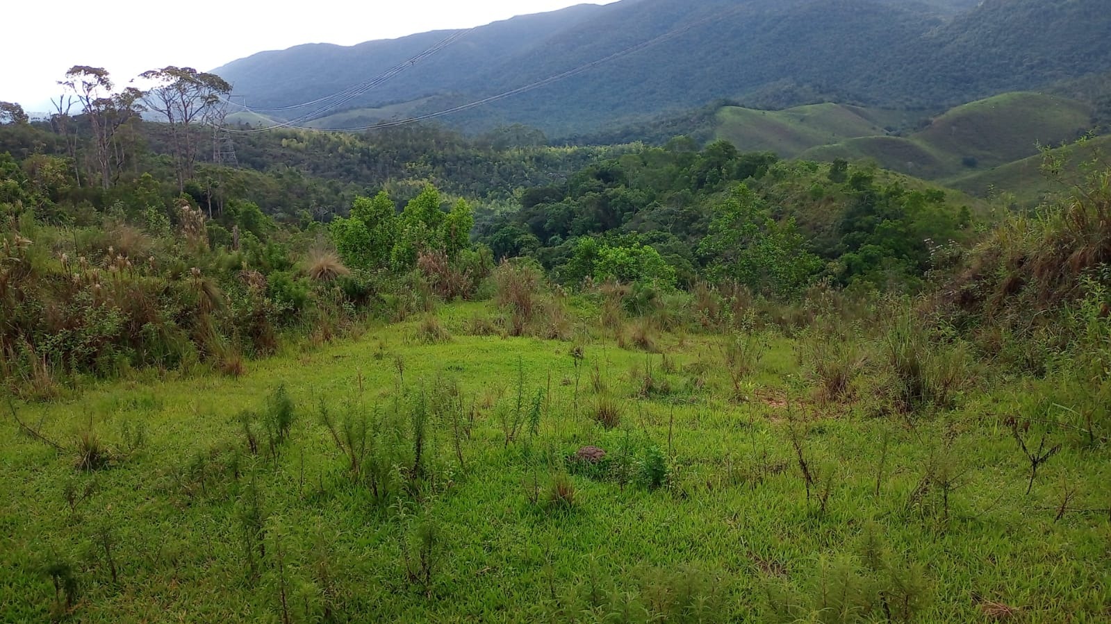 Fazenda de 90 ha em São José dos Campos, SP