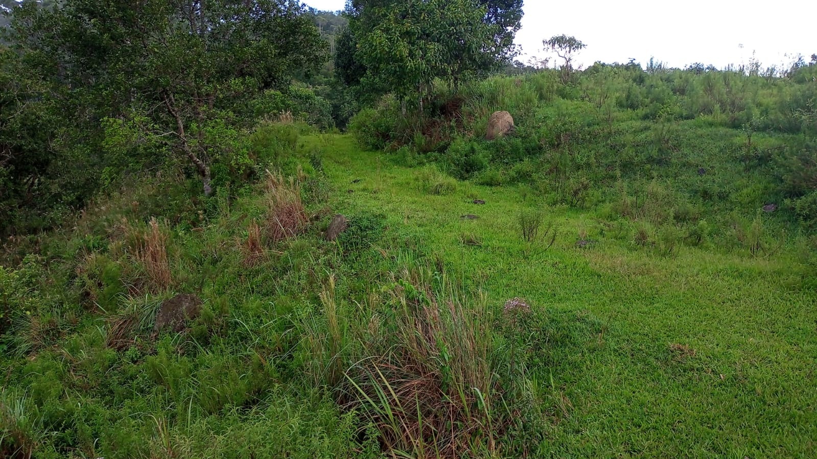 Fazenda de 90 ha em São José dos Campos, SP