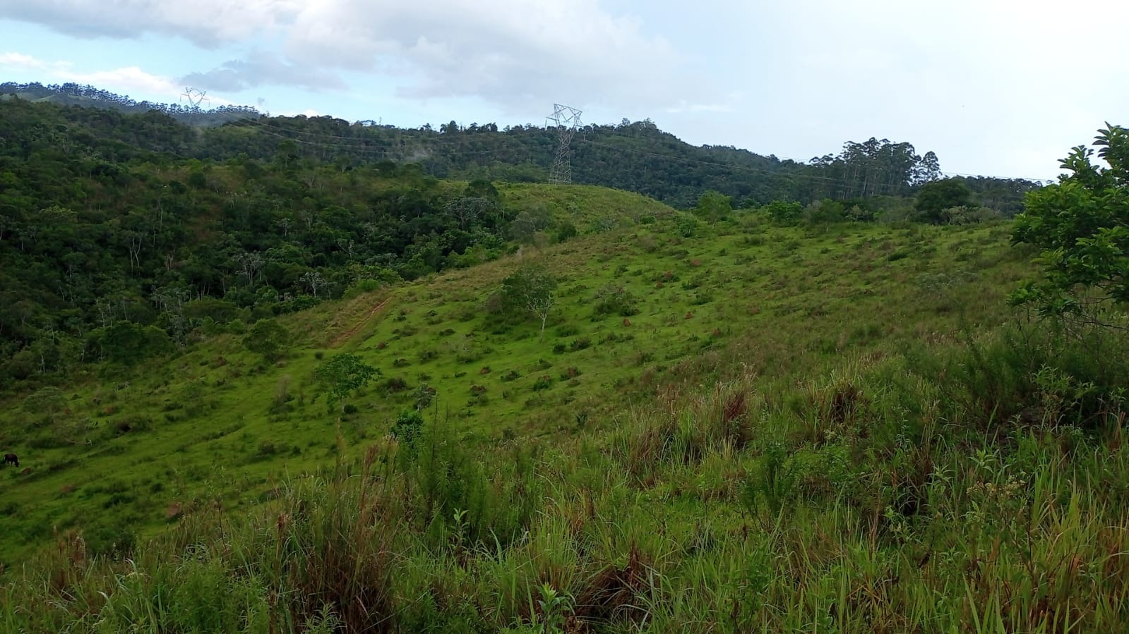 Fazenda de 90 ha em São José dos Campos, SP