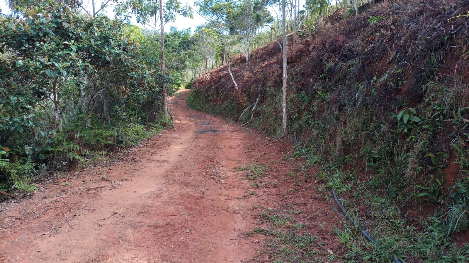 Sítio de 3 ha em Monteiro Lobato, SP