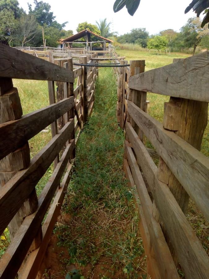 Fazenda de 189 ha em Ponto Chique, MG