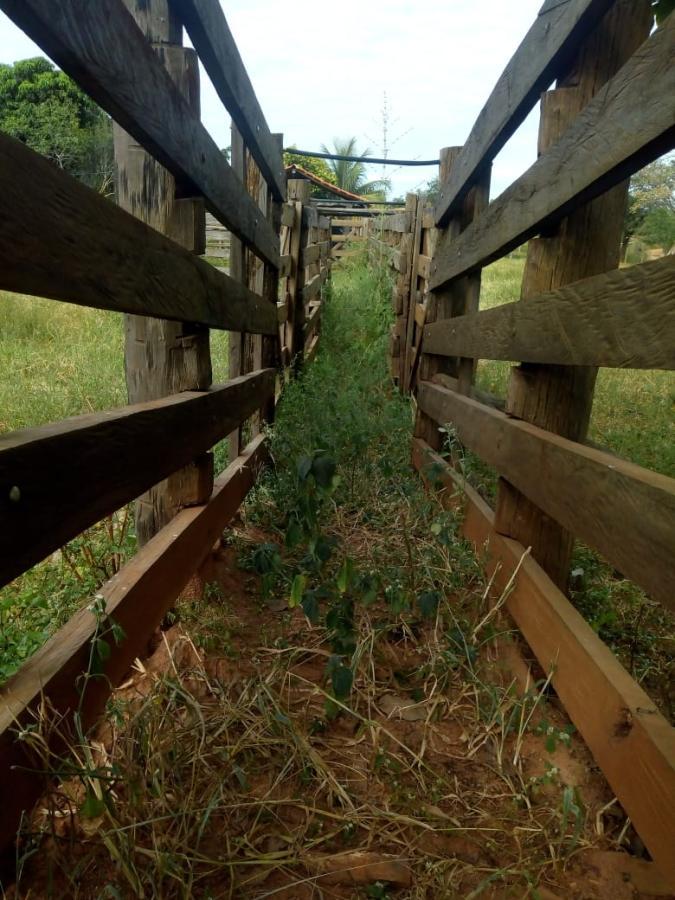 Fazenda de 189 ha em Ponto Chique, MG