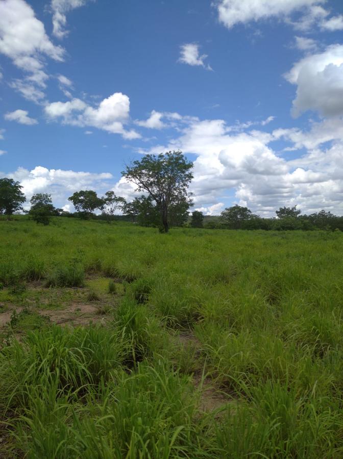 Fazenda de 189 ha em Ponto Chique, MG