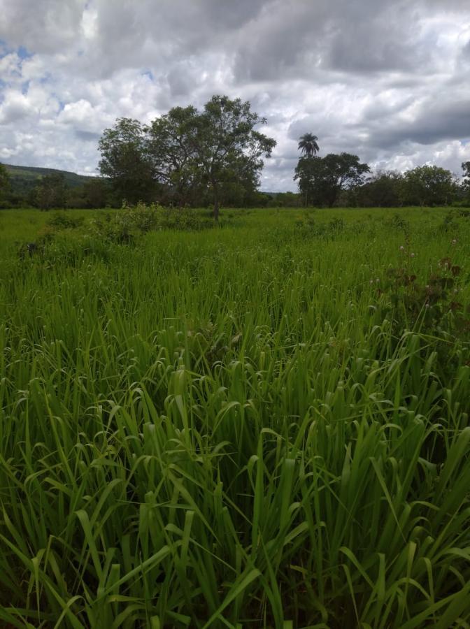 Fazenda de 189 ha em Ponto Chique, MG