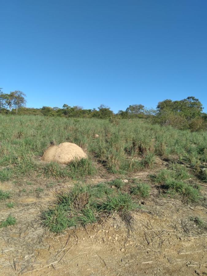 Fazenda de 189 ha em Ponto Chique, MG