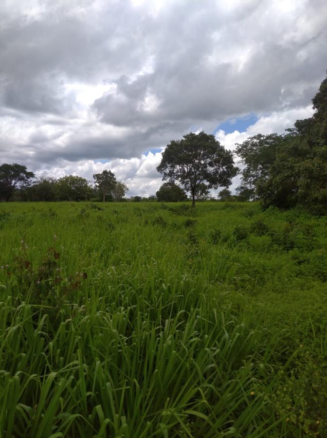 Fazenda de 189 ha em Ponto Chique, MG