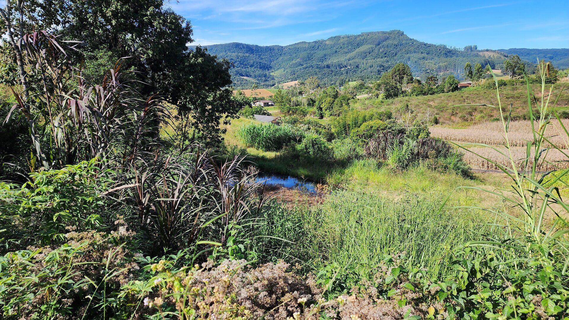 Terreno de 4 ha em Lontras, SC