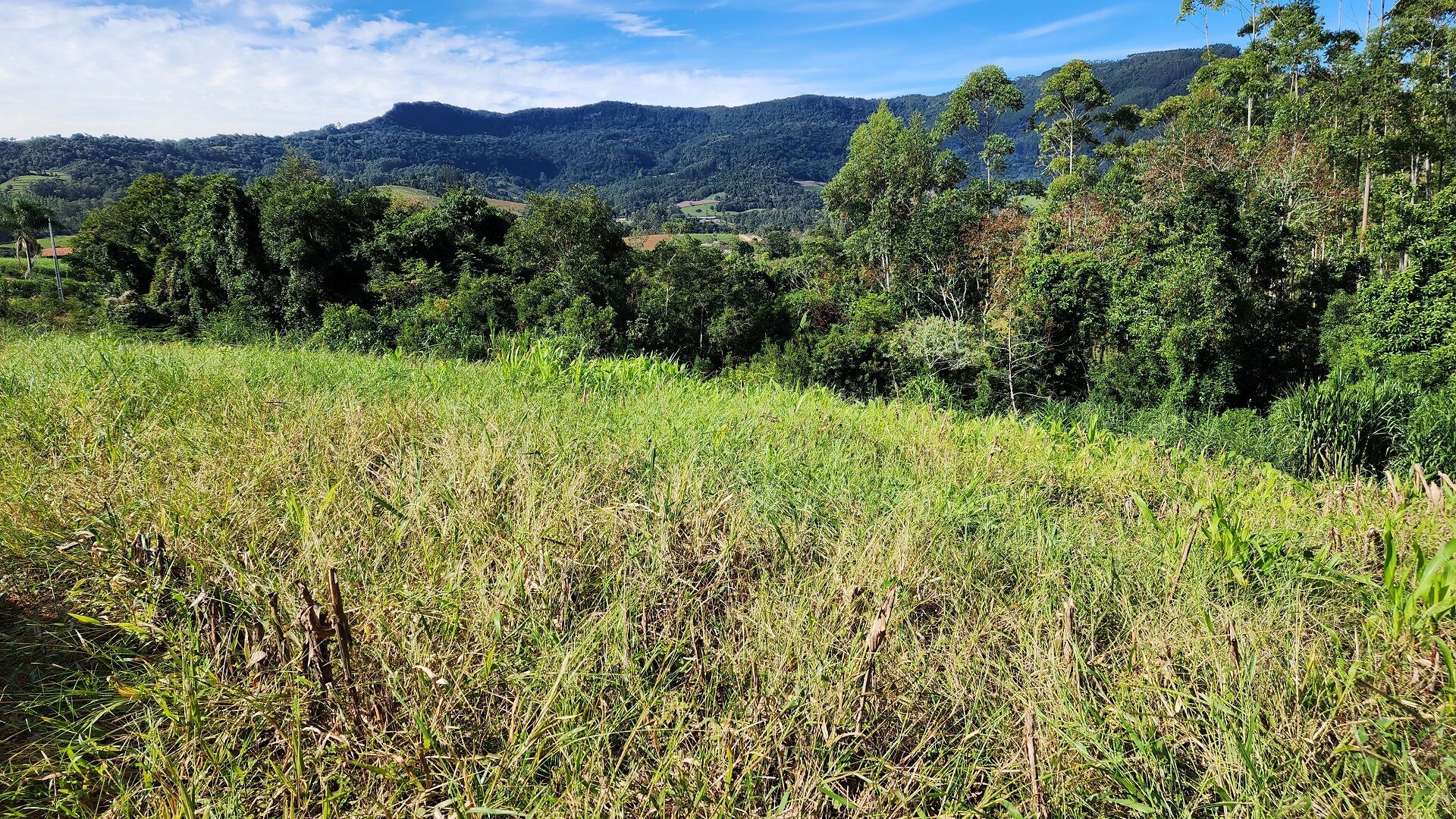 Terreno de 4 ha em Lontras, SC