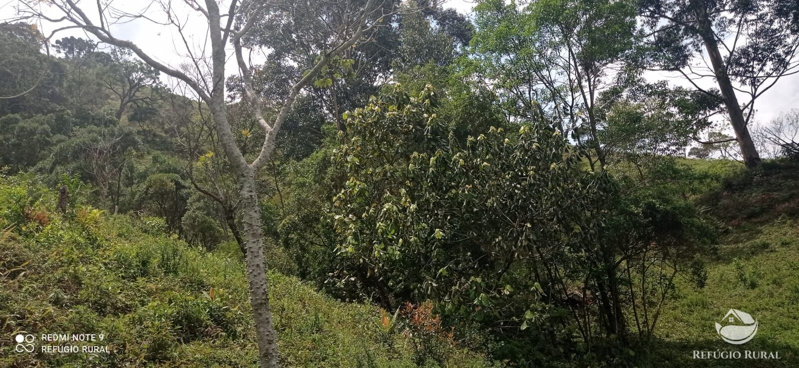 Sítio de 21 ha em São José dos Campos, SP