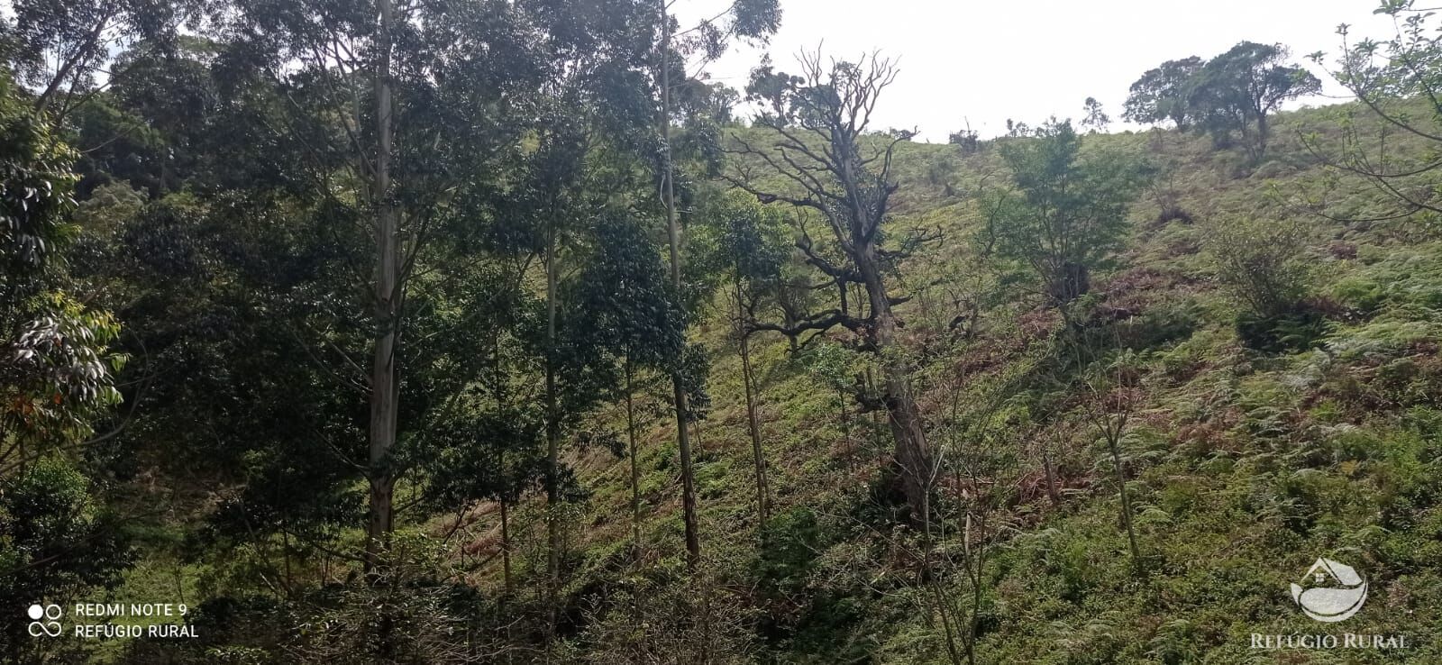 Sítio de 21 ha em São José dos Campos, SP