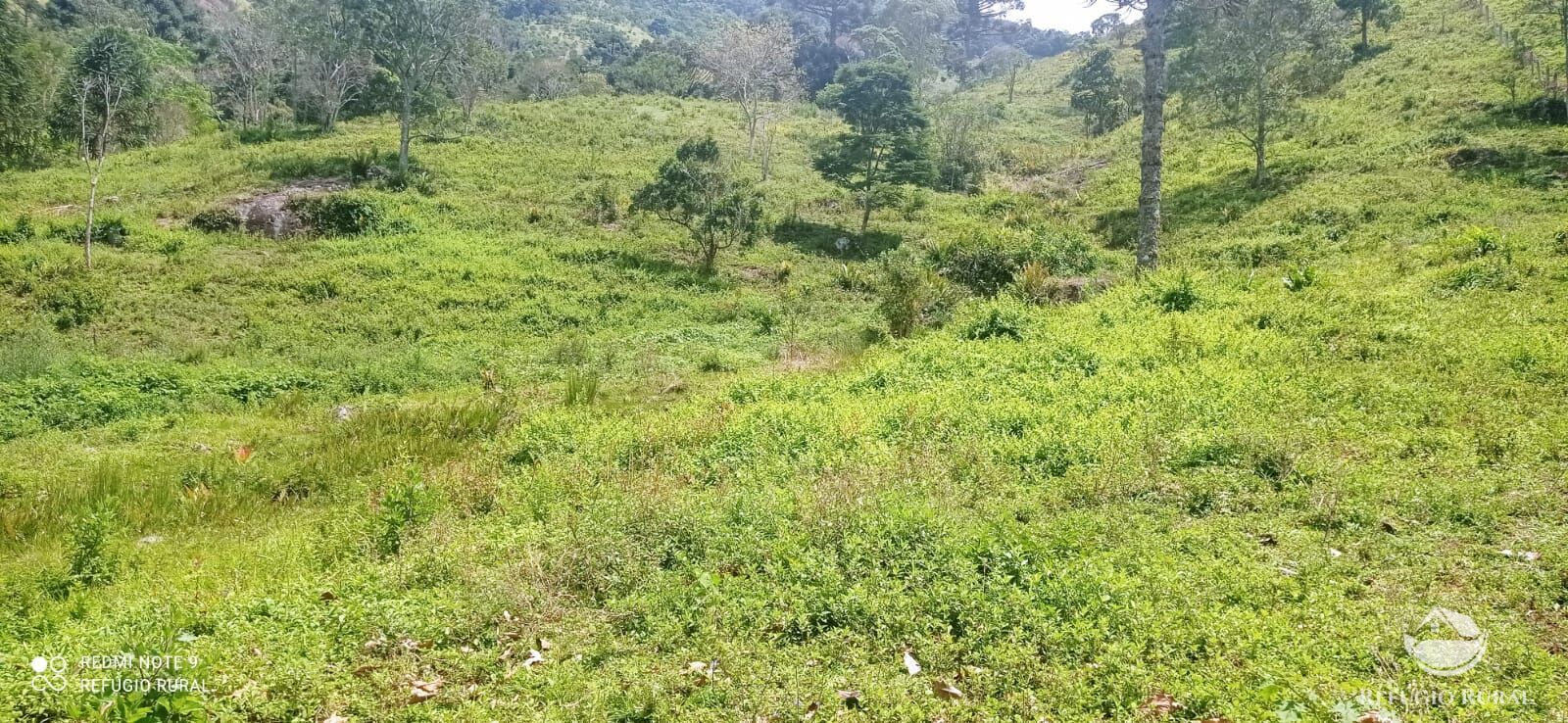 Sítio de 21 ha em São José dos Campos, SP