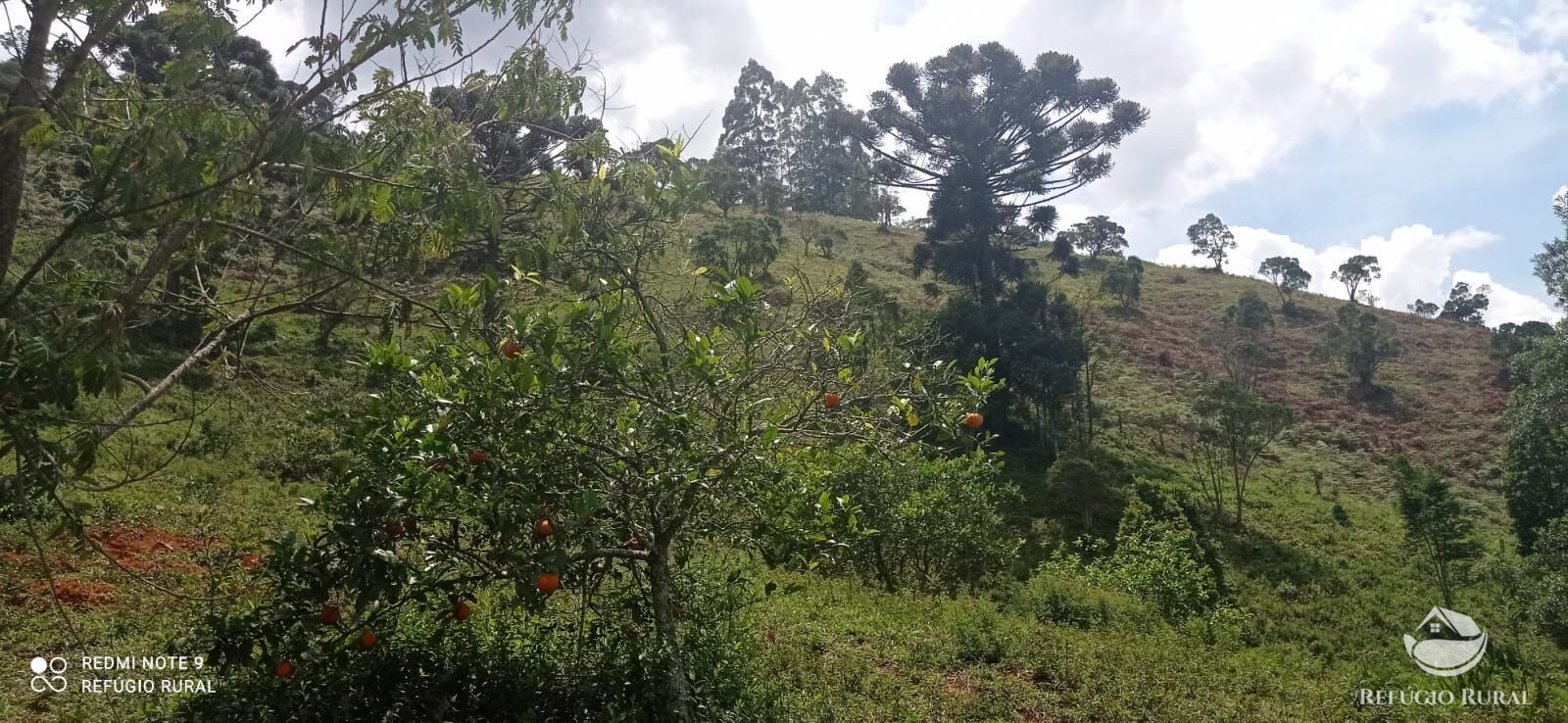 Sítio de 21 ha em São José dos Campos, SP