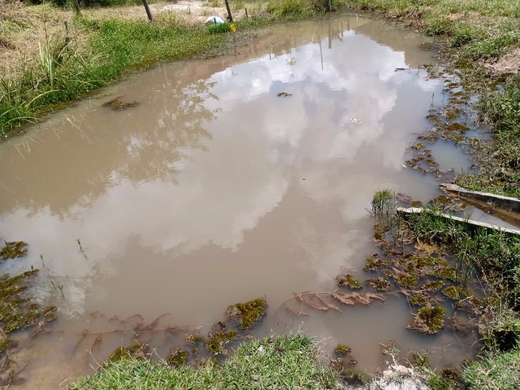 Sítio de 5 ha em Paraibuna, SP