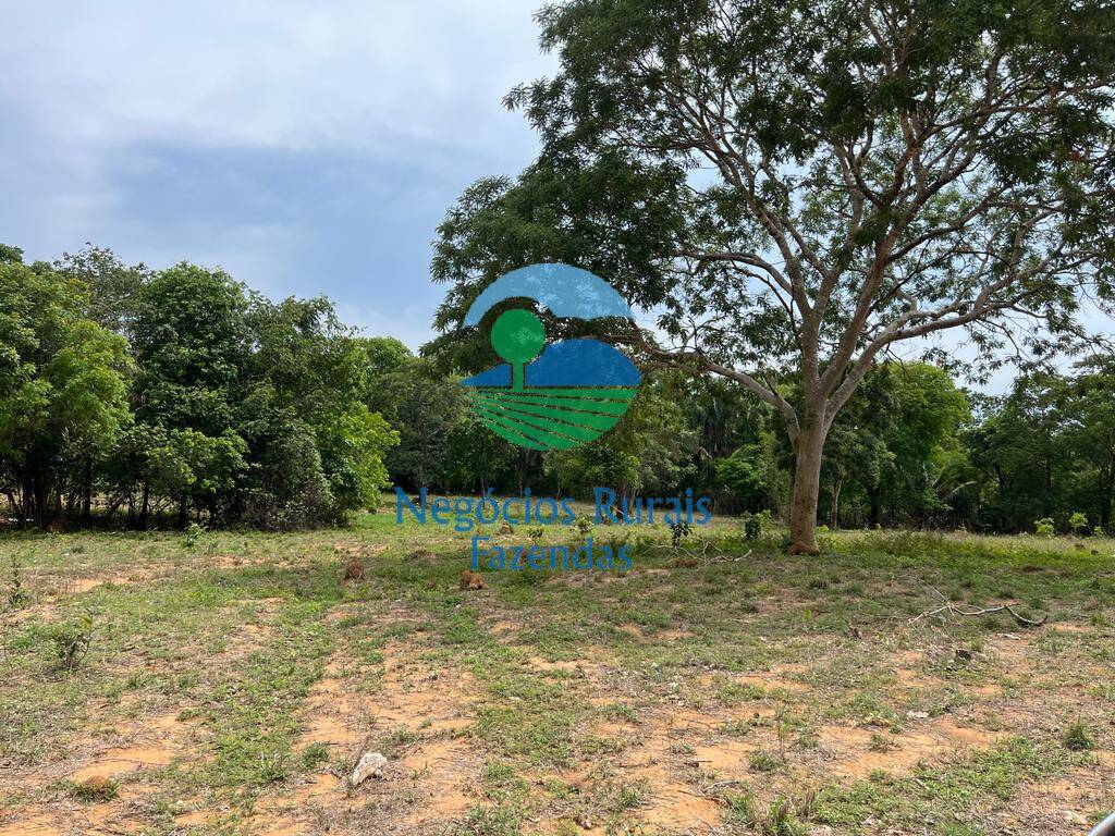 Fazenda de 1.403 ha em São Salvador do Tocantins, TO