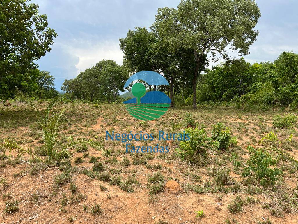 Fazenda de 1.403 ha em São Salvador do Tocantins, TO