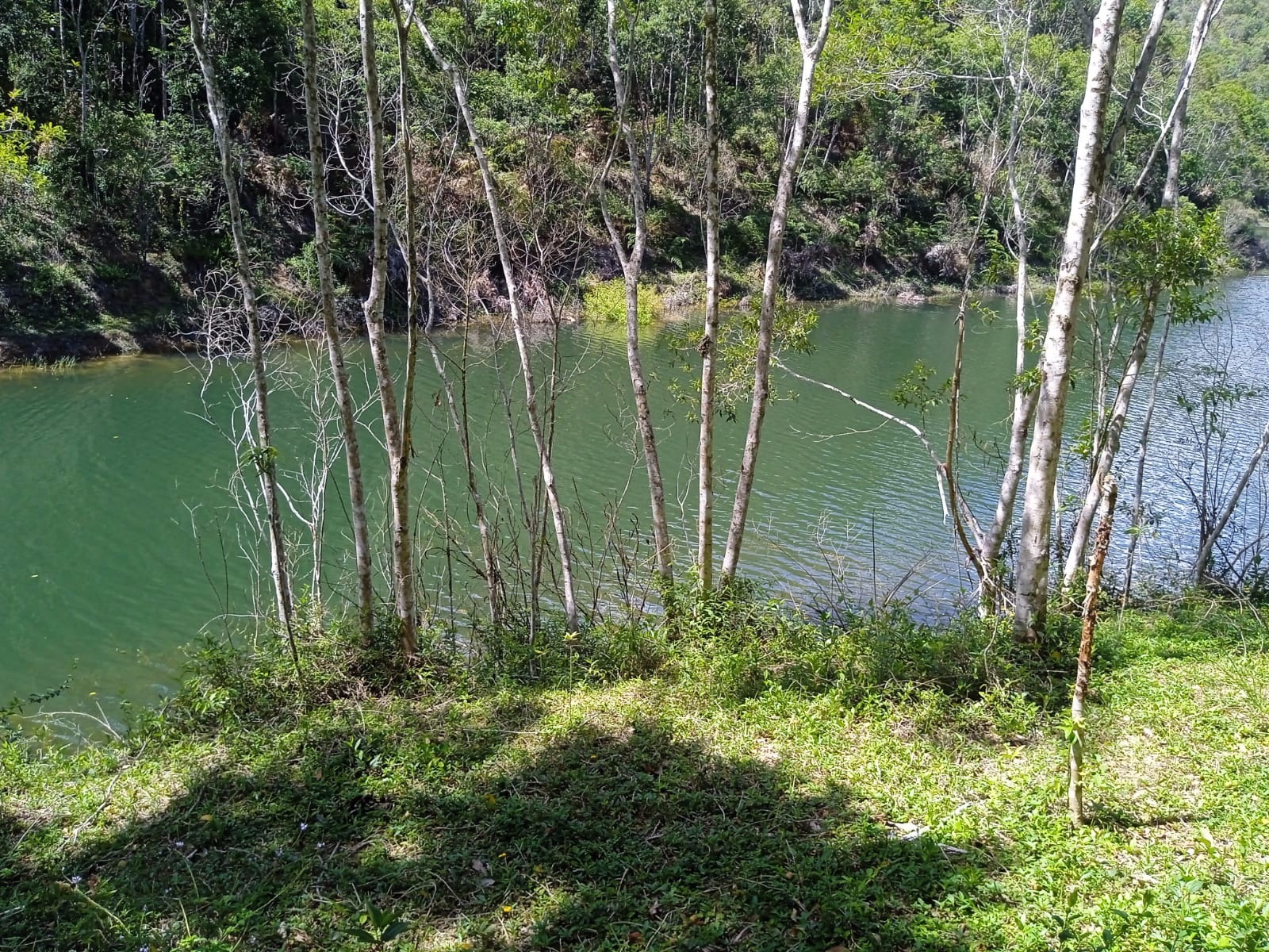 Sítio de 41 ha em Paraibuna, SP