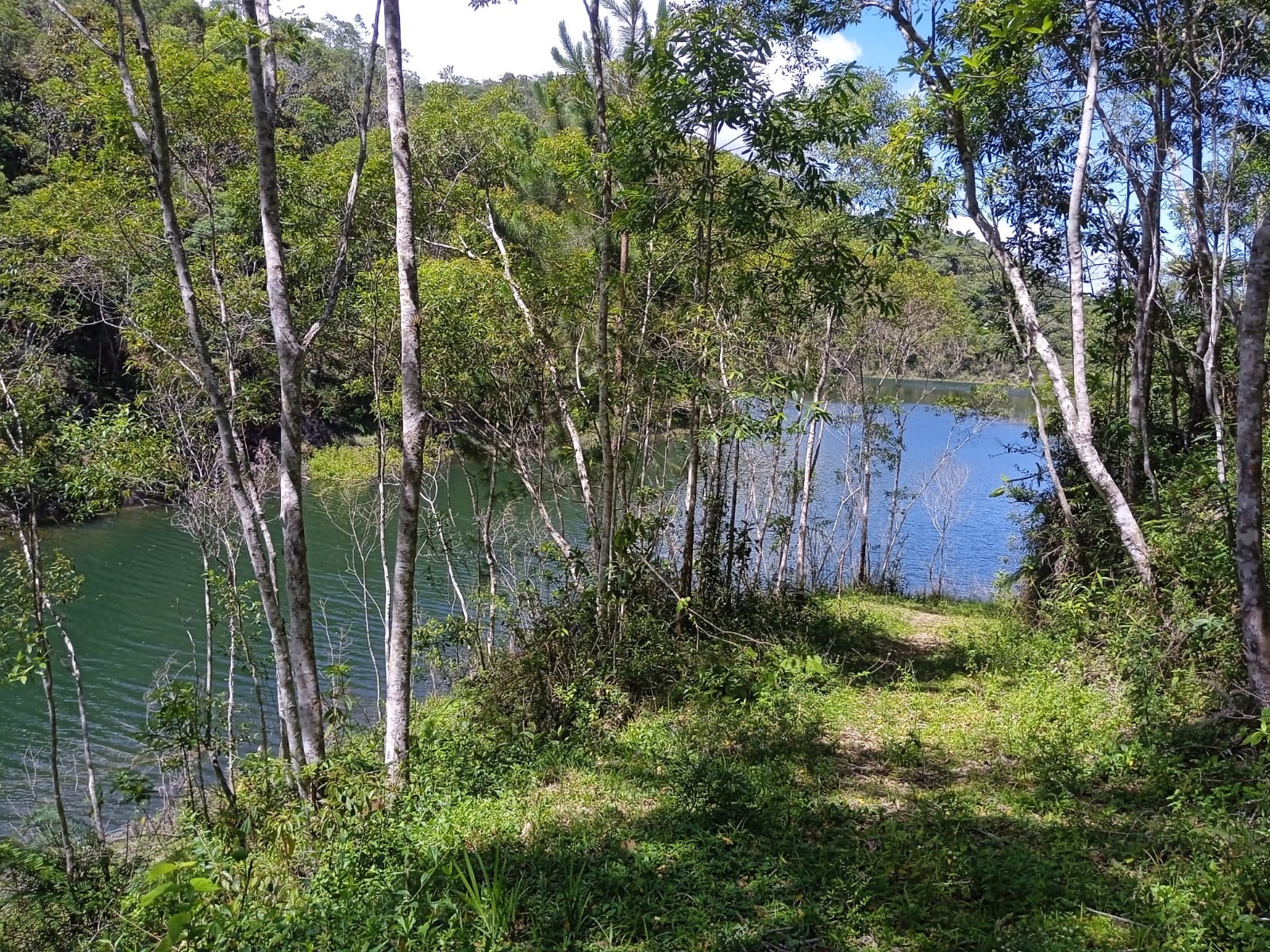 Sítio de 41 ha em Paraibuna, SP