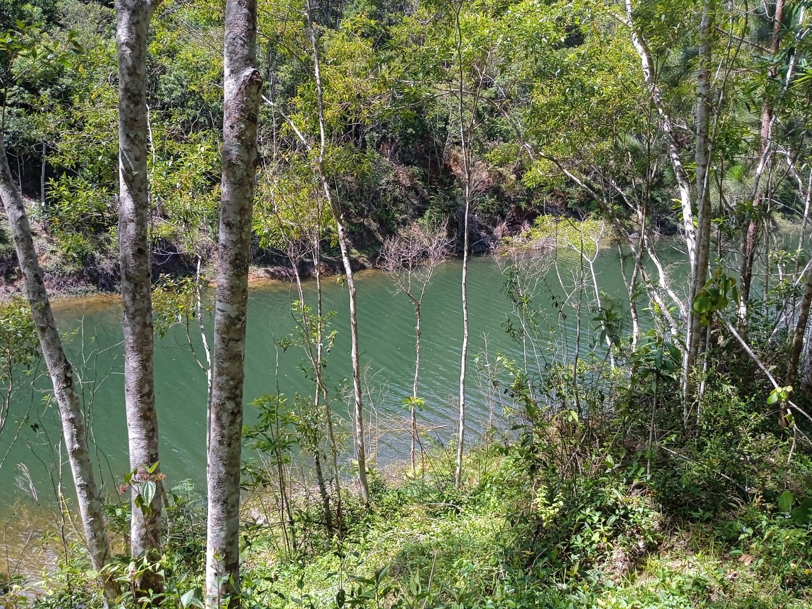 Sítio de 41 ha em Paraibuna, SP