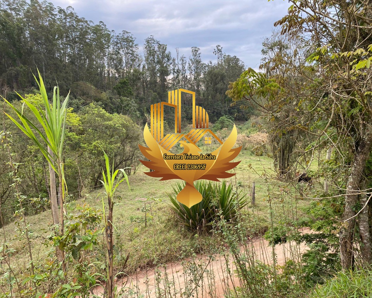 Sítio de 3 ha em Paraibuna, SP