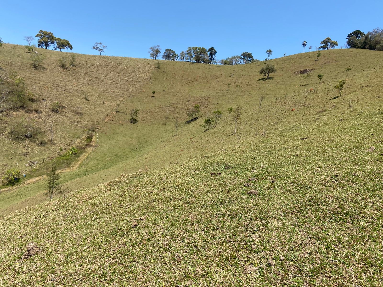 Terreno de 17 ha em Sapucaí-Mirim, MG