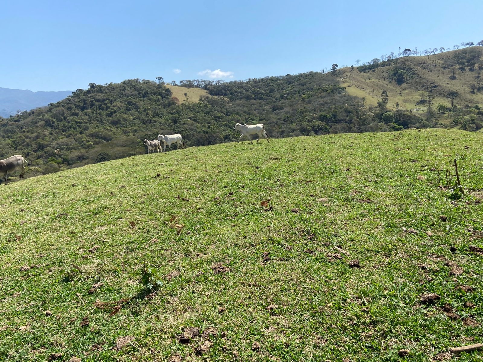 Terreno de 17 ha em Sapucaí-Mirim, MG