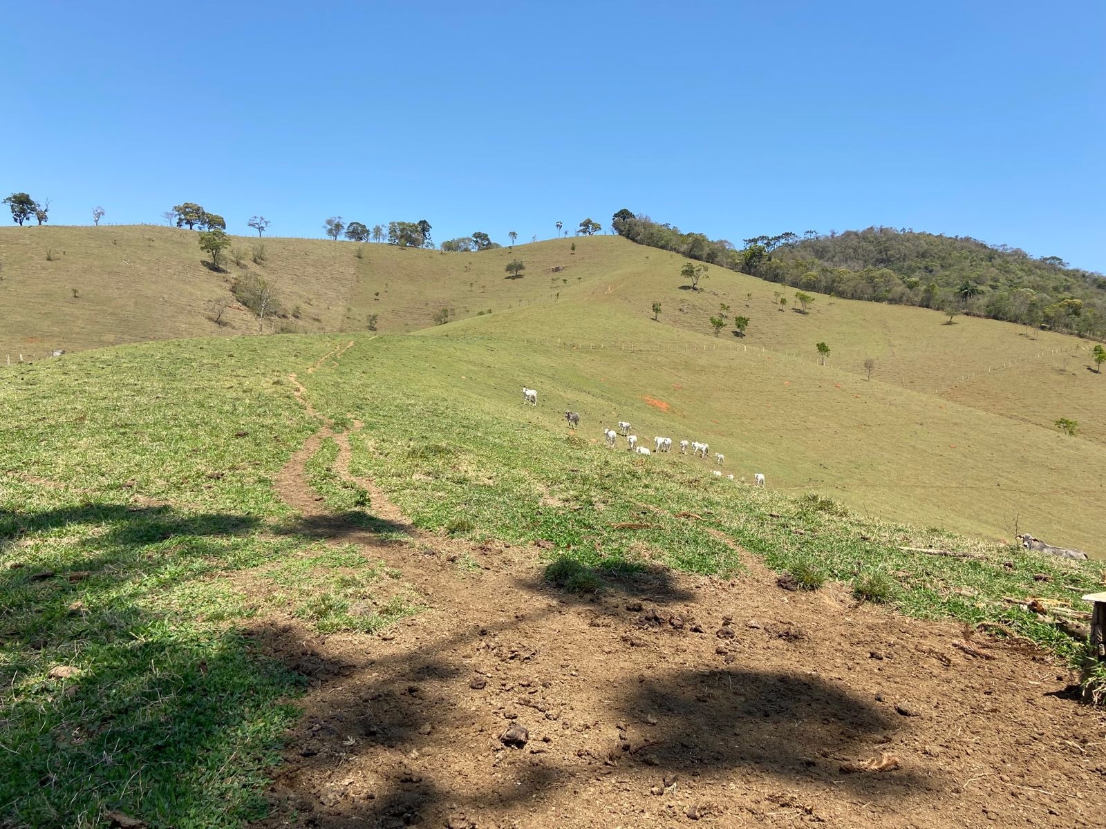 Terreno de 17 ha em Sapucaí-Mirim, MG