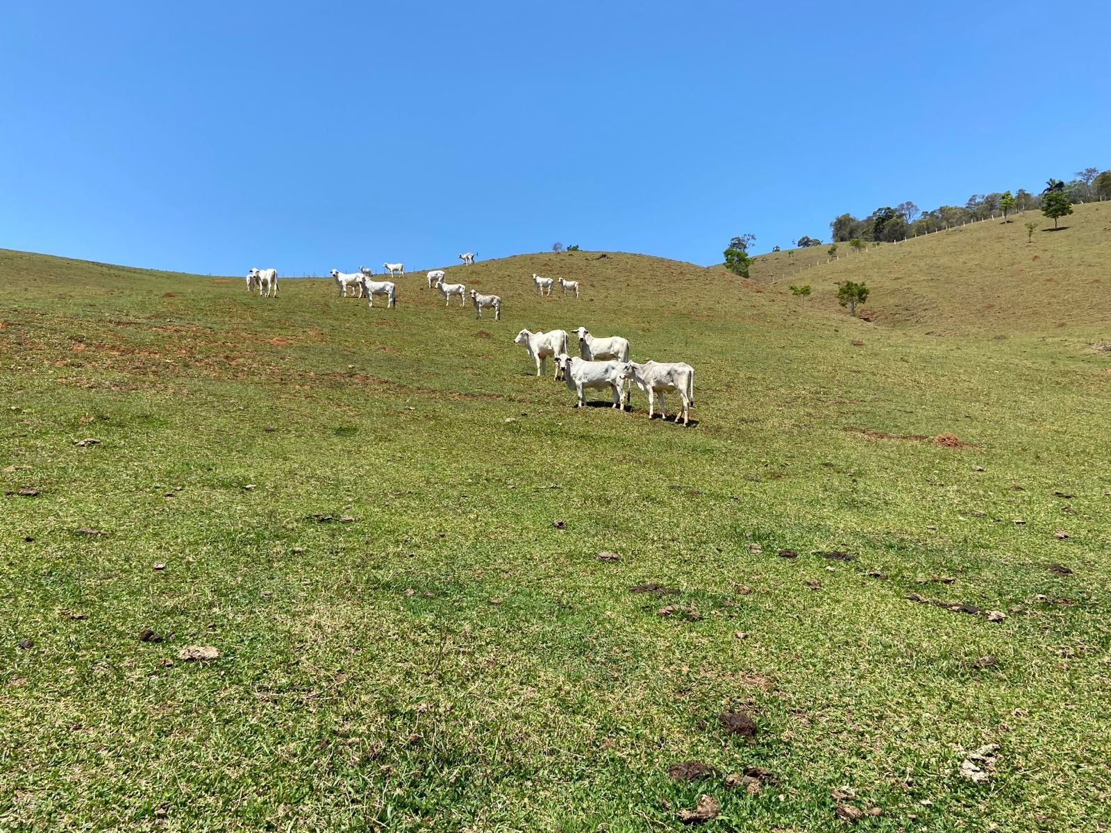 Terreno de 17 ha em Sapucaí-Mirim, MG