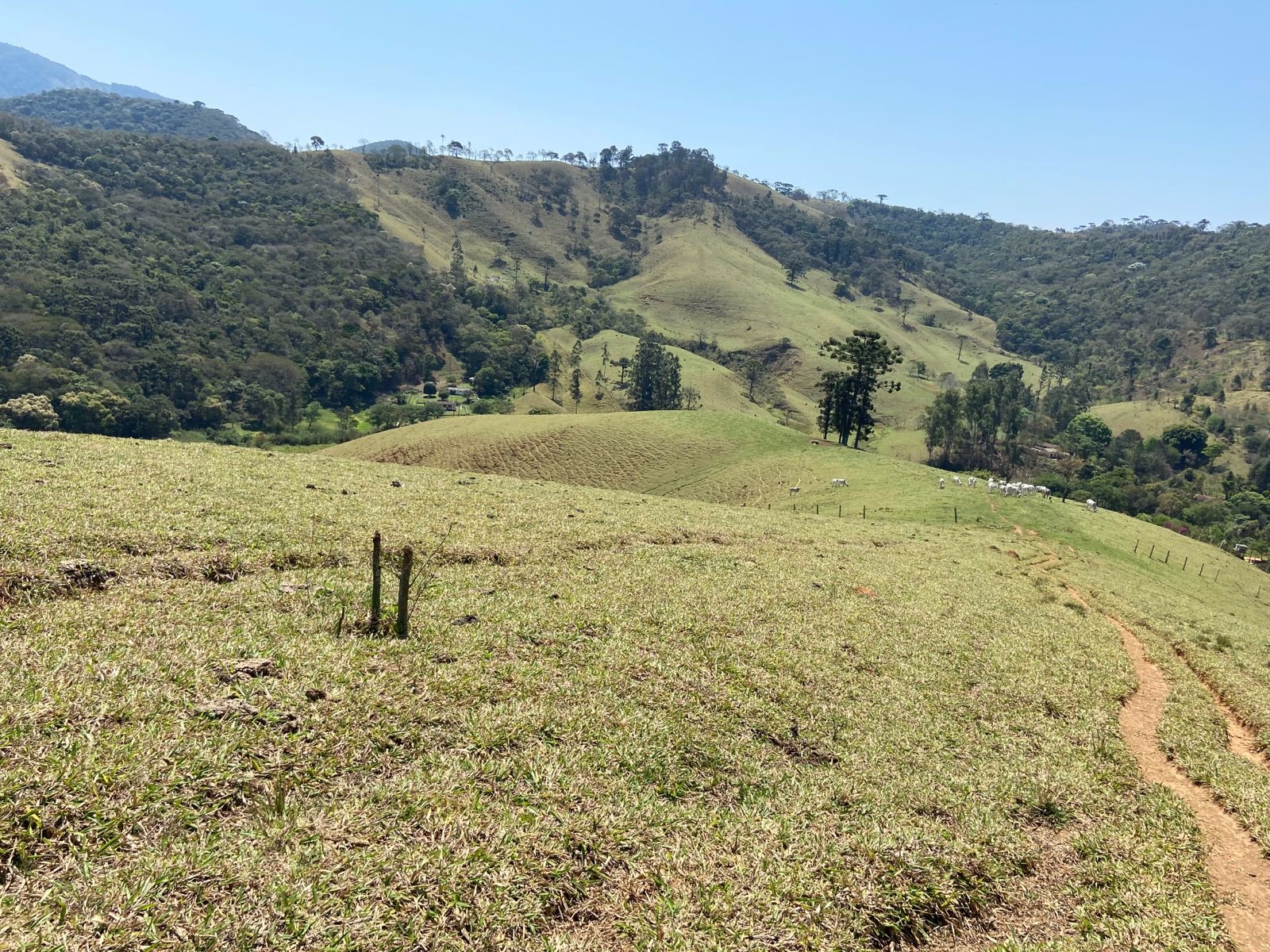 Terreno de 17 ha em Sapucaí-Mirim, MG