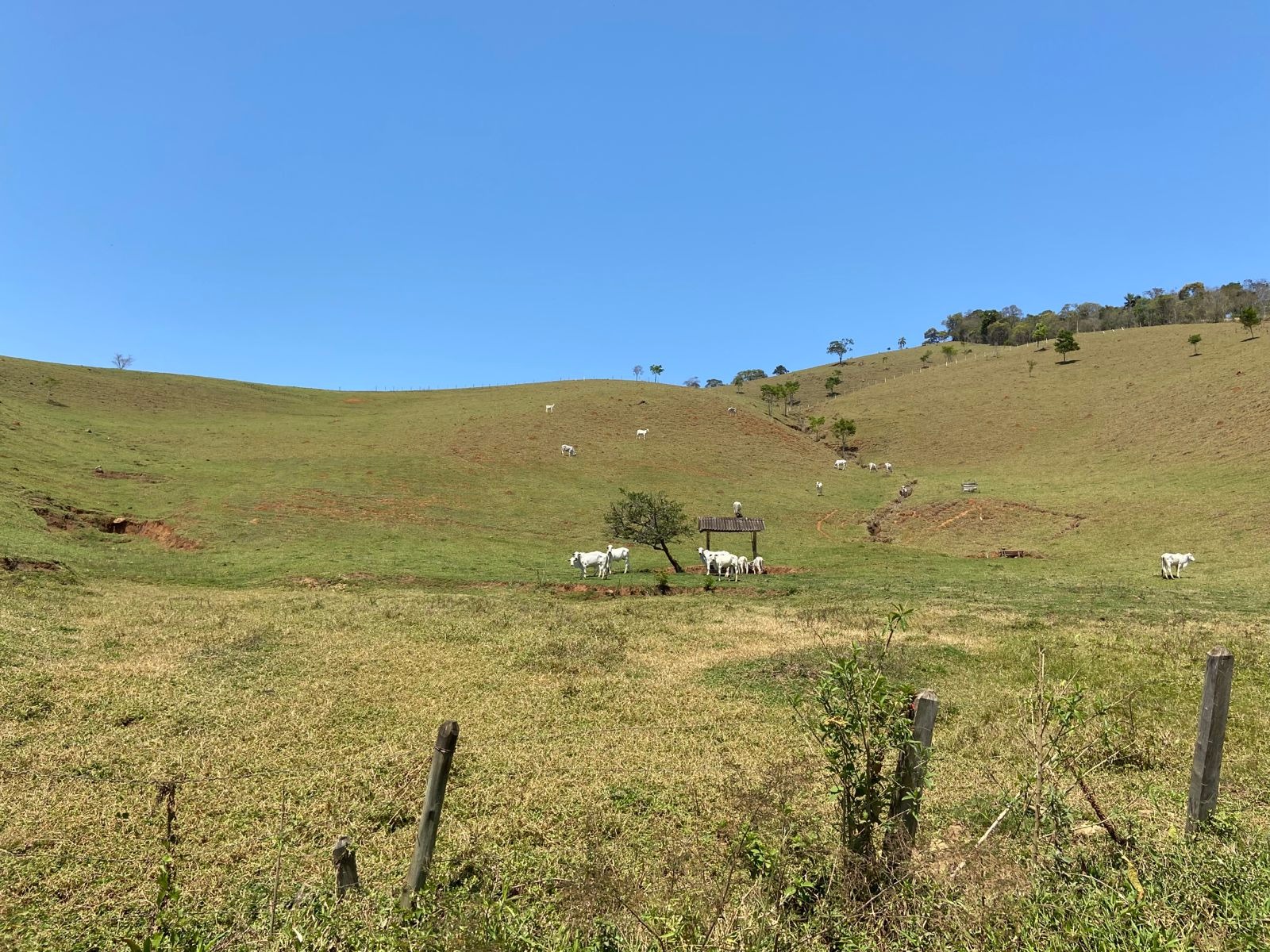 Terreno de 17 ha em Sapucaí-Mirim, MG