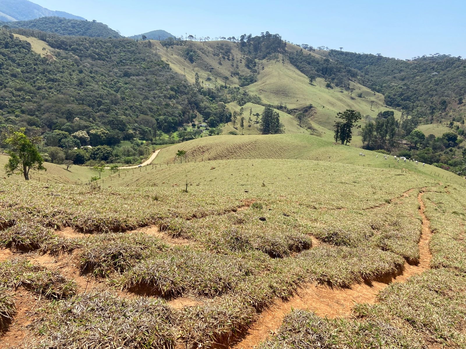 Terreno de 17 ha em Sapucaí-Mirim, MG