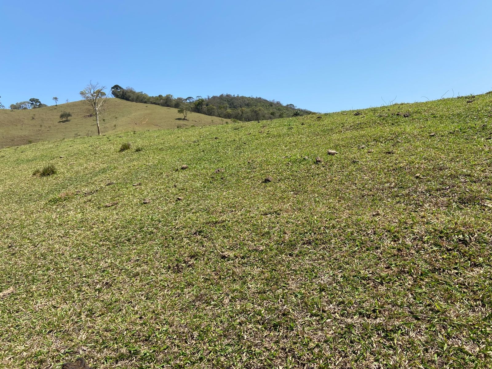 Terreno de 17 ha em Sapucaí-Mirim, MG