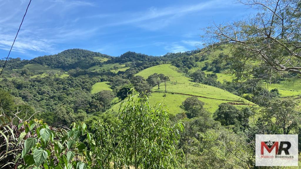 Terreno de 2 ha em Estiva, MG