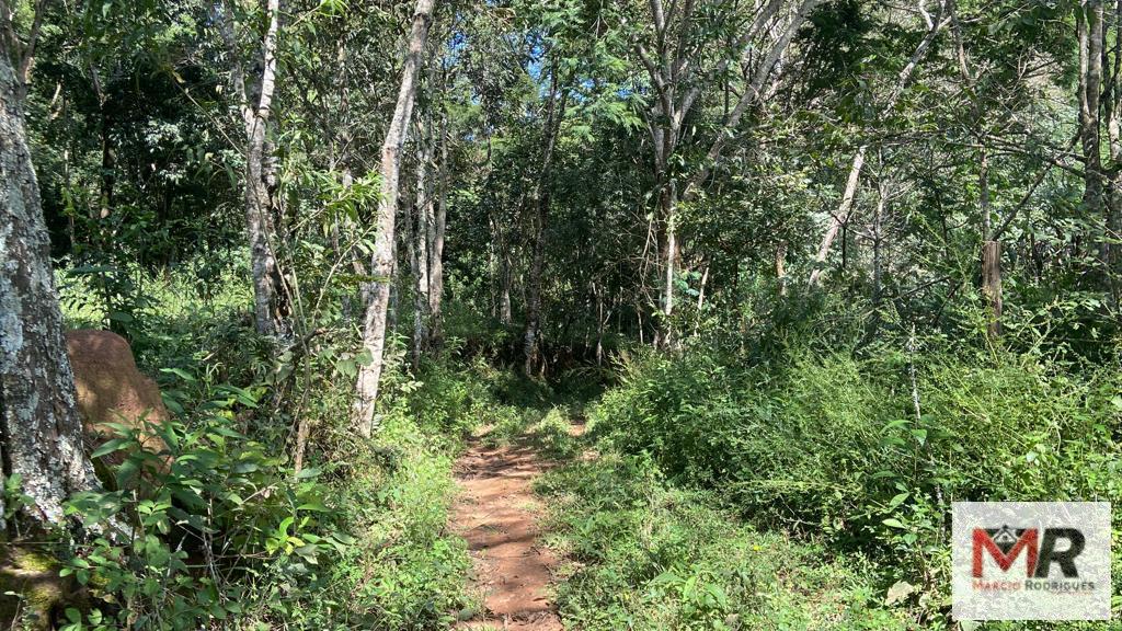 Terreno de 2 ha em Estiva, MG