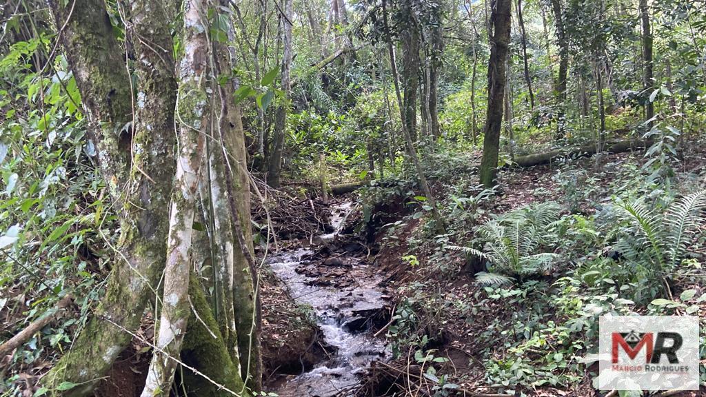 Terreno de 2 ha em Estiva, MG