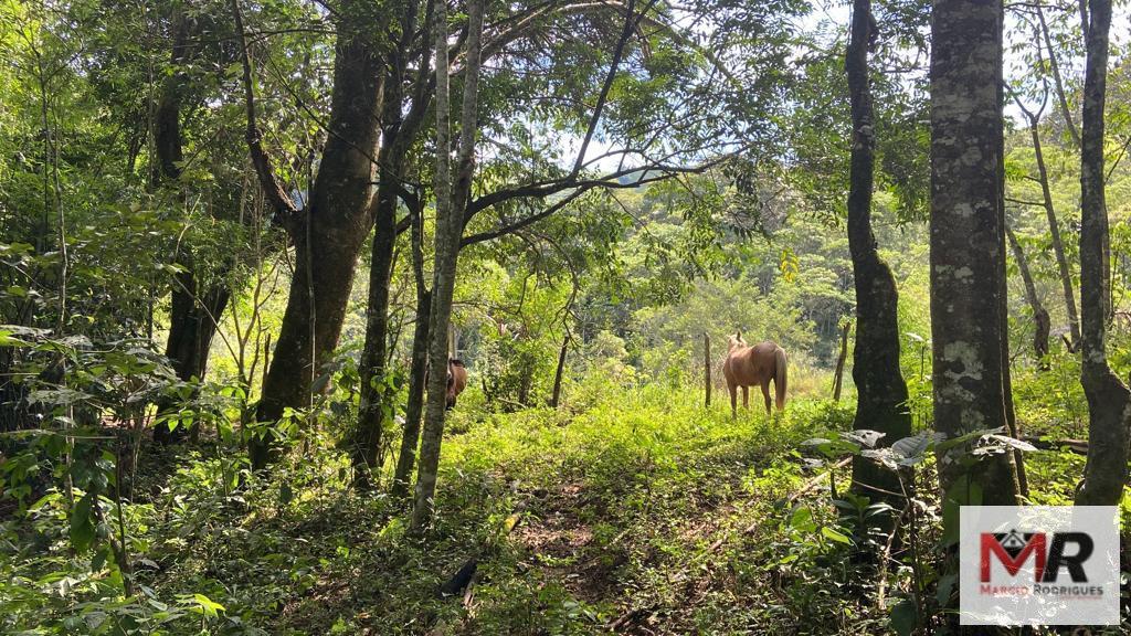 Terreno de 2 ha em Estiva, MG