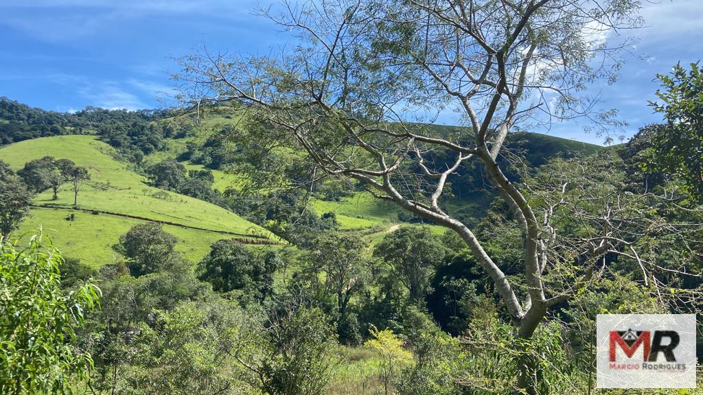 Terreno de 2 ha em Estiva, MG