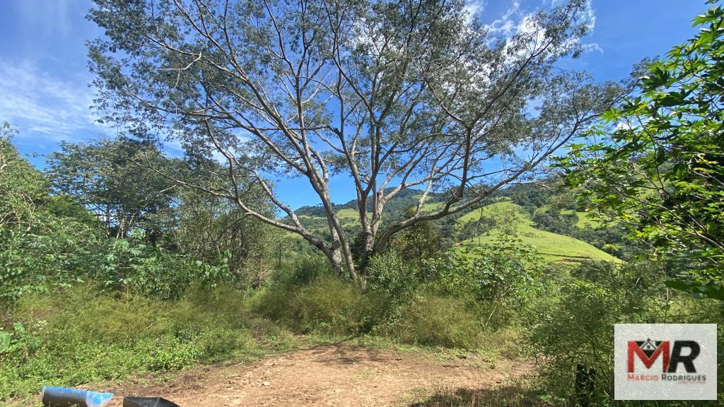 Terreno de 2 ha em Estiva, MG