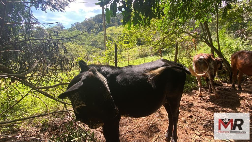 Terreno de 2 ha em Estiva, MG