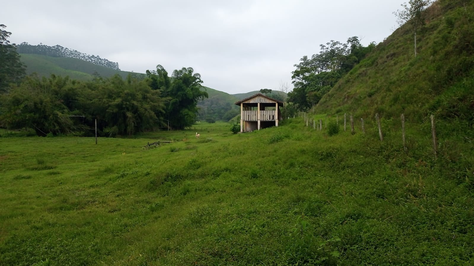 Fazenda de 397 ha em São José dos Campos, SP