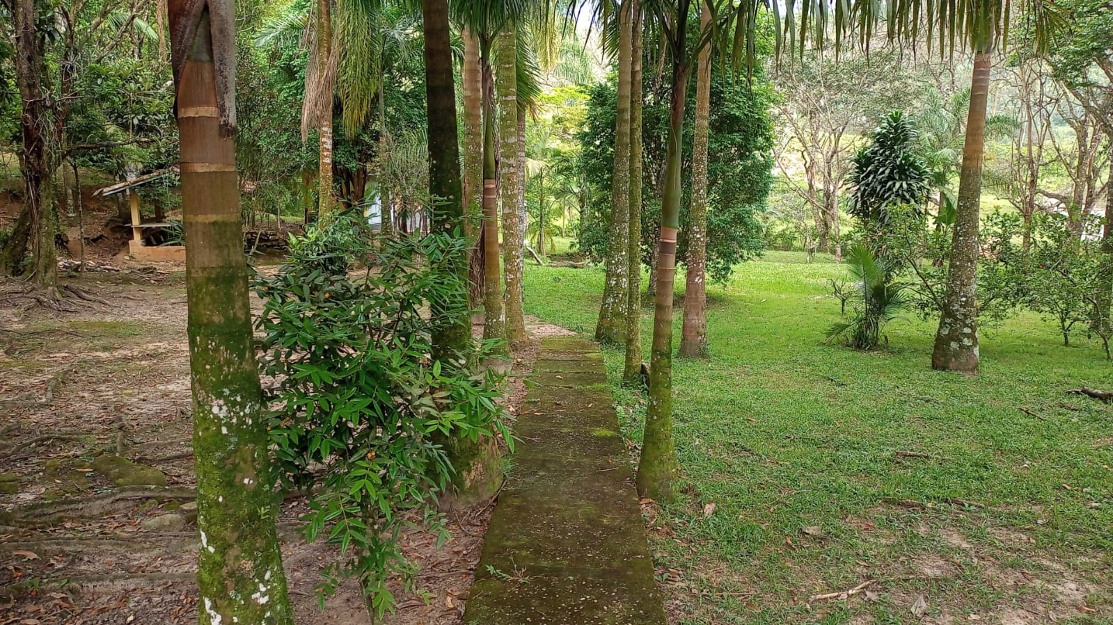 Fazenda de 397 ha em São José dos Campos, SP