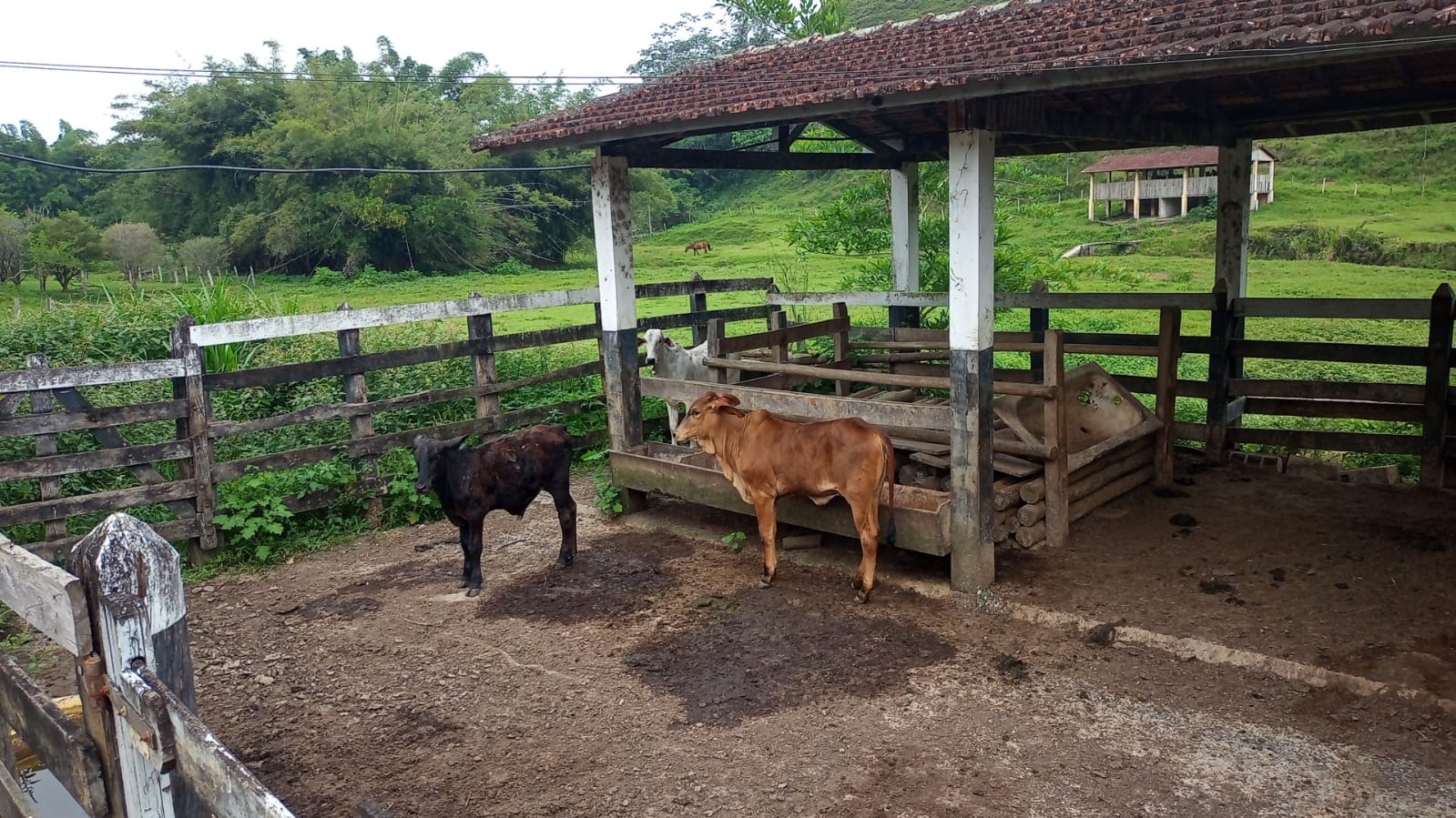 Fazenda de 397 ha em São José dos Campos, SP