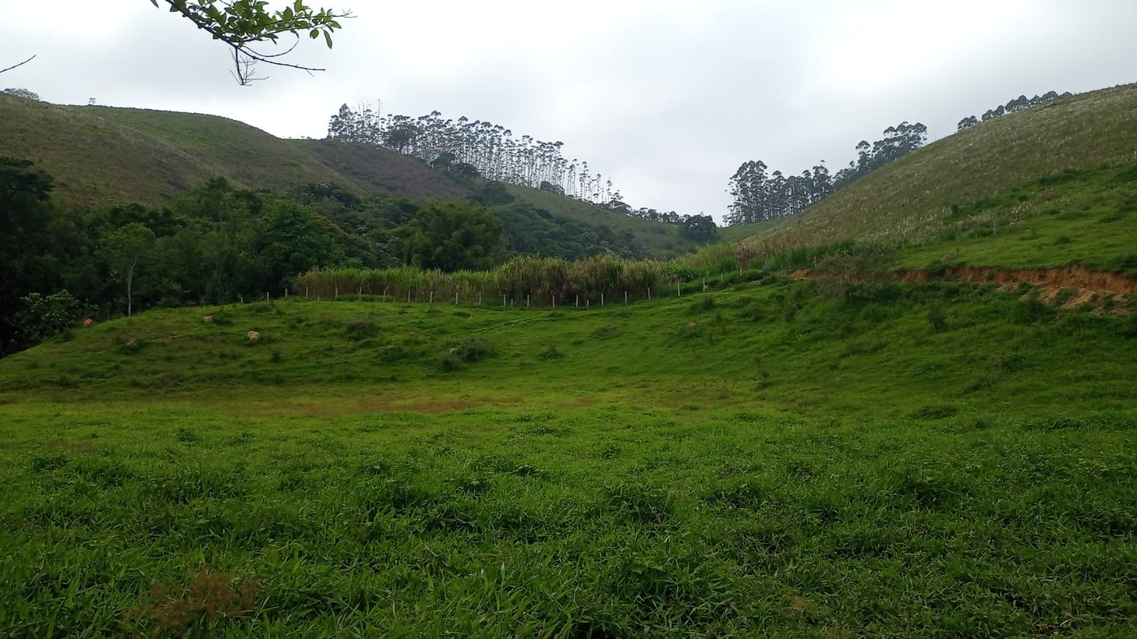 Fazenda de 397 ha em São José dos Campos, SP