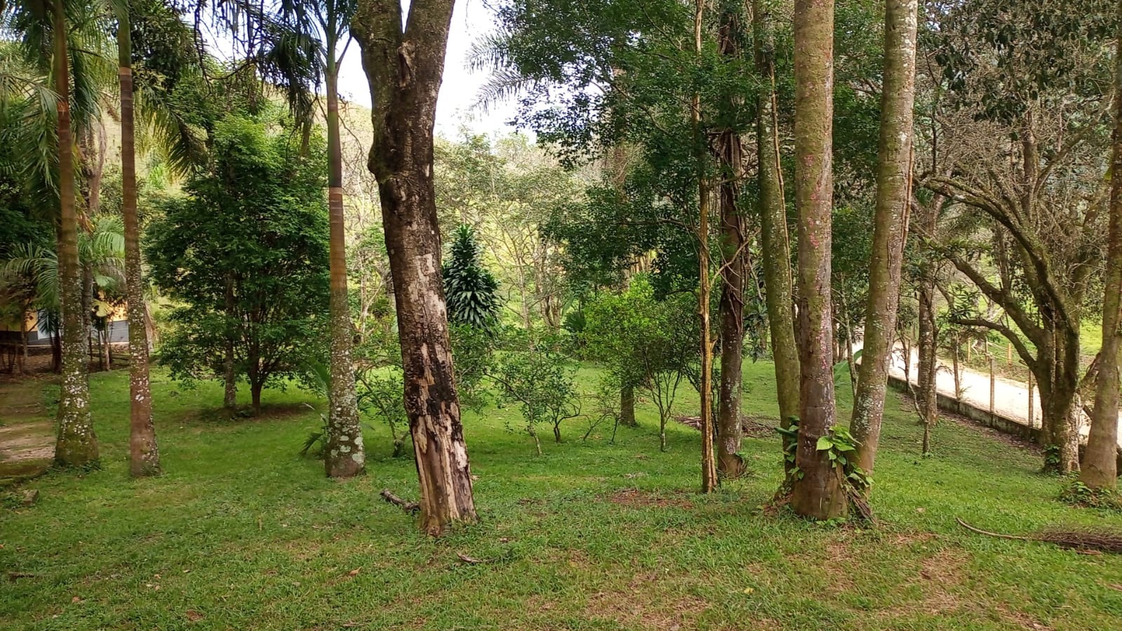 Fazenda de 397 ha em São José dos Campos, SP