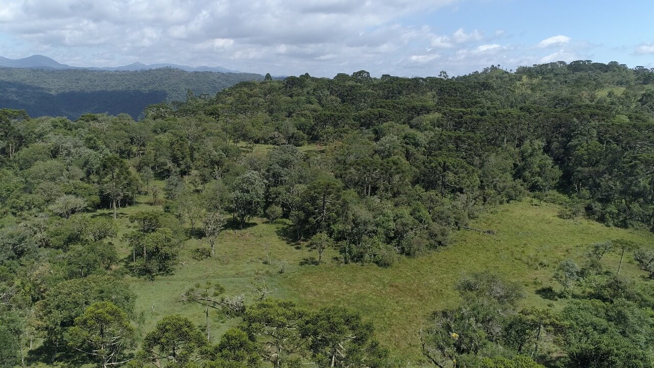 Sítio de 21 ha em Urubici, SC