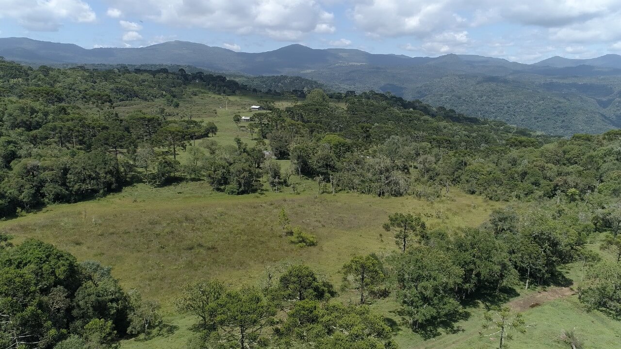 Sítio de 21 ha em Urubici, SC