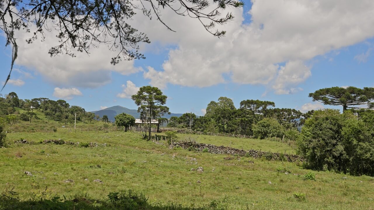 Sítio de 21 ha em Urubici, SC