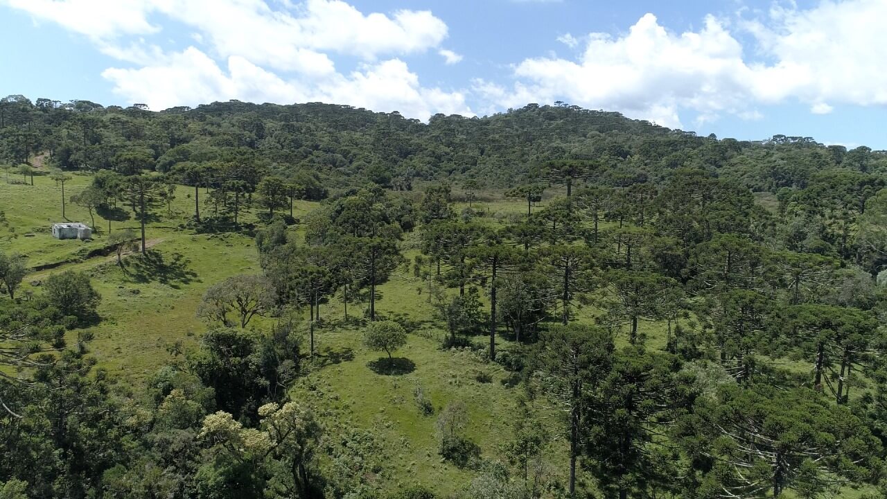 Sítio de 21 ha em Urubici, SC