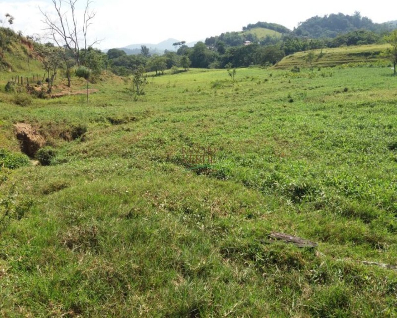 Fazenda de 165 ha em São José dos Campos, SP